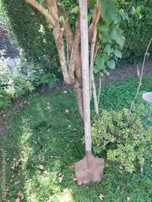 Gartendeko alter Spaten Bild 3