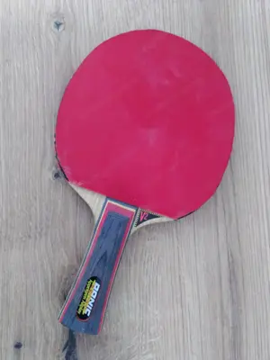 Tischtennisschläger (Donic) mit Tasche (Pro Ace) ZU VERSCHENKEN