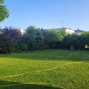 Gartenhilfe gesucht   Hecken & Büsche schneiden
