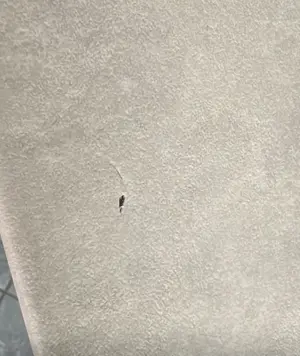 Neuwertige Einbauküche inklusive Geräte  Bild 4