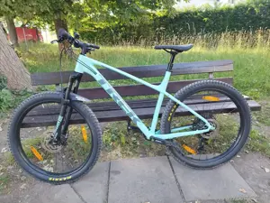 Trek Roscoe 7 (XL)
