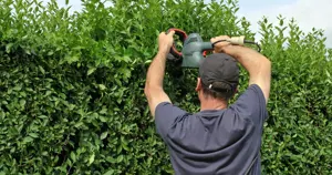 Zuverlässiger Rundum-Service für Haus & Garten   Bild 8