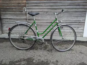 Resalb Retro   Vintage Damenfahrrad grün