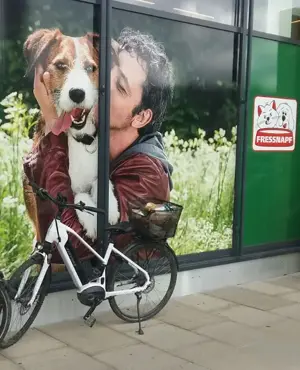 Hochwertiges Marken E-Bike von STEVENS für Teenager Damen Bild 2