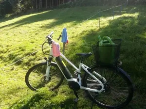 Hochwertiges Marken E-Bike von STEVENS für Teenager Damen Bild 3