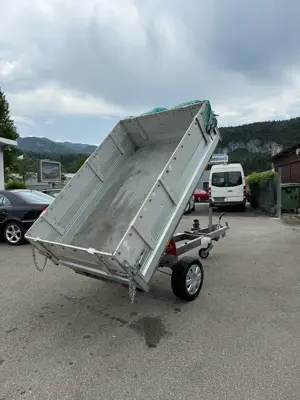 Pongratz Kipper 2022 Top! Bild 10