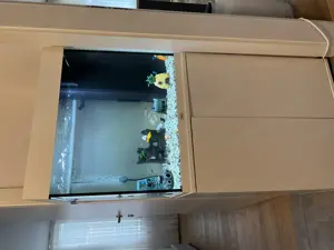 Aquarium Set 120L inkl. Fische & Zubehör