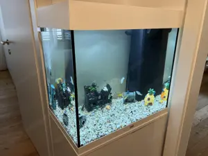 Aquarium Set 120L inkl. Fische & Zubehör Bild 2