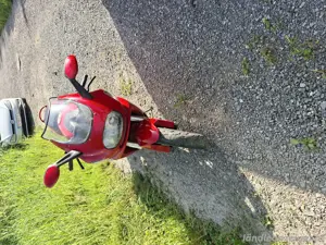 ducati st4  Bild 3