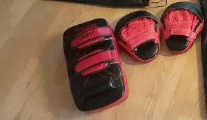 Schlagpolster + Pratzen für Kampfsport