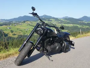 Harley Davidson Fatboy Softail  Bild 2