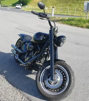Harley Davidson Fatboy Softail  Bild 4