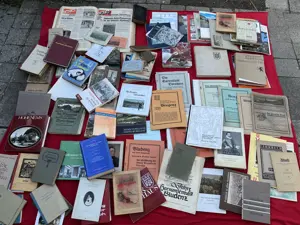 Vorarlbergensien Buch Kultur Geschichte Historiker Bludenz Bregenz Hohenems Götzsis Usw. Bild 2