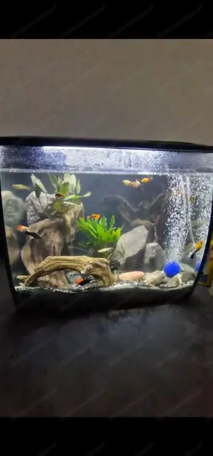 60-65l Auqarium 