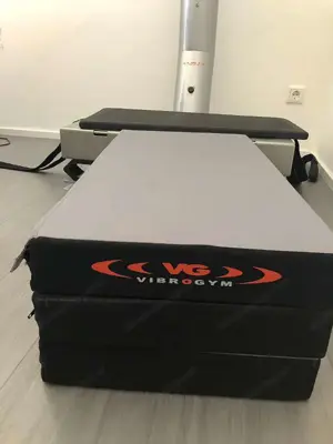 Vibro gym profi gerät Bild 2