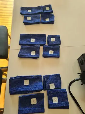 Stima Well EMS-Gerät für zuhause Bild 2