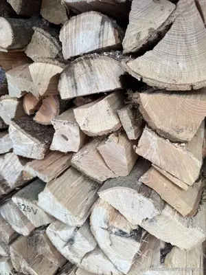 1,5m3 Brennholz Bild 2