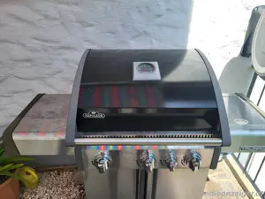 Napoleon Grill  Bild 3