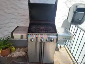Napoleon Grill  Bild 2