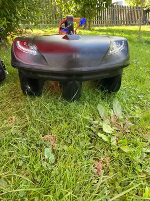 Rt4 futterboot Bild 3