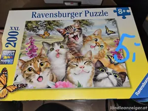 Verschiedene Puzzles 