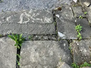Natursteinplatten Schiefer Bild 2
