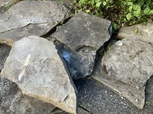 Natursteinplatten Schiefer