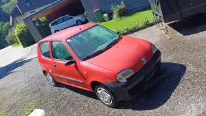 Verkaufe kleine Rennsemmel Bild 5
