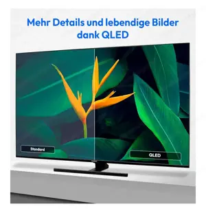 Fernseher 55 Zoll Medion Bild 4