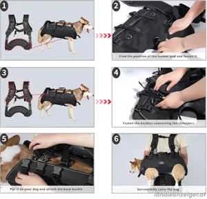 Notfallrucksack f. große Hunde Bild 2