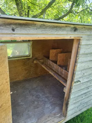 Hühnerstall auf Rädern bis 10 Hühner Bild 2
