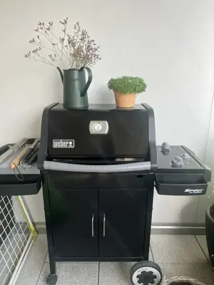 Weber Gasgrill