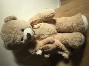 Kuscheltiere  Bild 3
