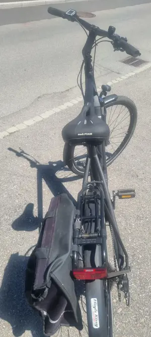 E Bike Herren Marke Scoott Bild 5