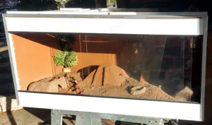 Terrarium 