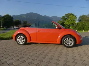 VW New Beetle Cabriolet Bild 4