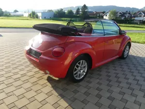 VW New Beetle Cabriolet Bild 3