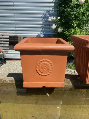 Pflanztopf Terracotta Bild 2