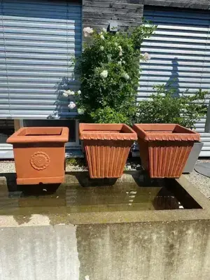 Pflanztopf Terracotta