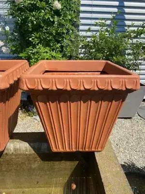 Pflanztopf Terracotta Bild 3