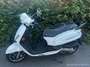 SYM Moped Roller Bild 2