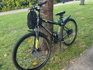 fahrrad 29 zoll