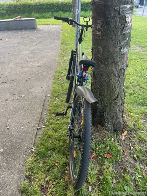 fahrrad 29 zoll Bild 2