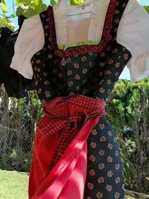 Rose-Dirndl Größe 42 kaum getragen Bild 3