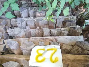 Brennholz aus 2023 - ofenfertig 25 cm 
