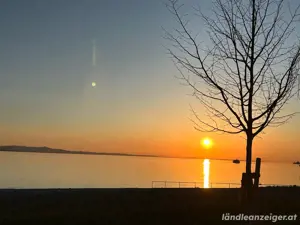 Single - Wohnung in Bregenz mit Seesicht - Stadtzentrum Bild 5