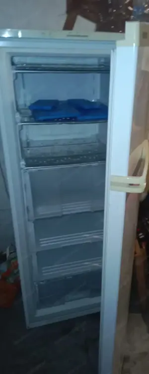 Gefrierschrank Bild 2