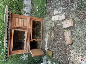 Hasenstall  Meerschweinchenstall zu verschenken 