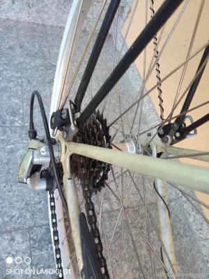 Damenfahrrad San Bernardino classic Bild 3