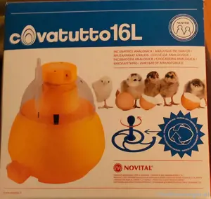 Brutapparat analog
